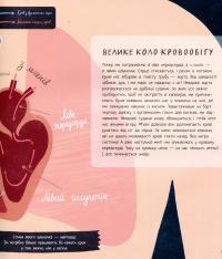 Книга Душевні факти про серце — Лена Шеберг #10