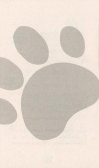 Книга Історії порятунку. Книга 5. Щенячі пригоди — Люси Дэниелс #7