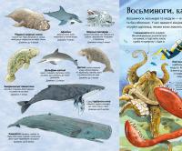 Книга Велика книга морських мешканців — Минна Лейси #9