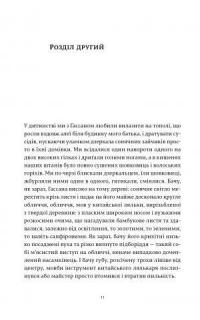 Книга Ловець повітряних зміїв — Халед Хоссейни #6