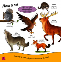 Книга Тварини #13