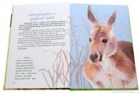 Книга Вусохвості й лапокрилі. Читанка про тварин — Владимир Верховень #4