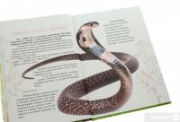 Книга Вусохвості й лапокрилі. Читанка про тварин — Владимир Верховень #6