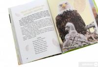 Книга Вусохвості й лапокрилі. Читанка про тварин — Владимир Верховень #7