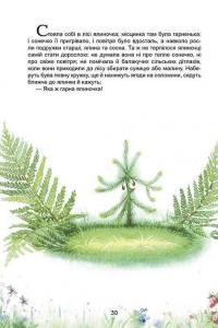 Книга Зимові казки #5