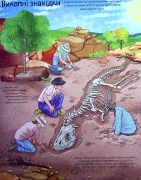 Книга Цікаве всередині. Динозаври — Элеонора Барзотти #12