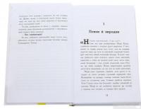 Книга Мерф Звичайний і Остання П'ятірка. Книга 4 — Крис Смит, Грег Джеймс #4