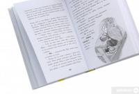 Книга Мерф Звичайний і Остання П'ятірка. Книга 4 — Крис Смит, Грег Джеймс #5