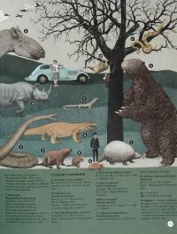Книга Найвища вежа, найменша зоря — Кейт Бейкер #9