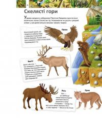Книга Я і світ навколо мене. Ілюстрована енциклопедія — Элеонора Барзотти #12