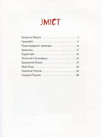 Книга День народження привида — Сашко Дерманский #6