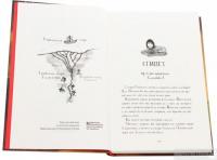 Книга Мій братик Мумія та сфінкс Шакаби — Тоска Ментен #4