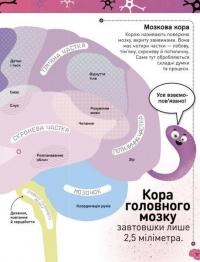 Книга Карколомний мозок. Імпульсивні нейрони, мінливі синапси, хвостаті аксони — Лиам Дрю #13