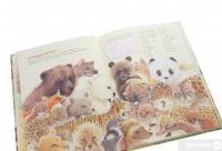 Книга Дивовижний світ тварин. Мами та малюки #5