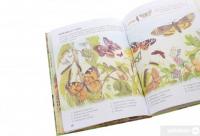 Книга Дивовижний світ тварин. Мами та малюки #6