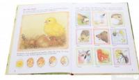 Книга Дивовижний світ тварин. Хто вилупився з яйця? #4
