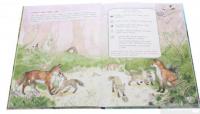 Книга Дивовижний світ тварин. Хто де живе? #4