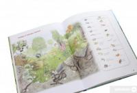 Книга Дивовижний світ тварин. Хто де живе? #5