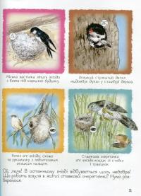 Книга Дивовижний світ тварин. Хто де живе? #13