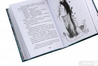 Книга Як приручити дракона. Книга 12. Як подолати гнів дракона — Крессида Коуэлл #6