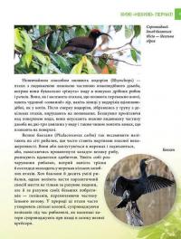 Книга Енциклопедія для допитливих. Хижаки — Андрей Гапченко #4
