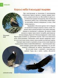 Книга Енциклопедія для допитливих. Хижаки — Андрей Гапченко #5