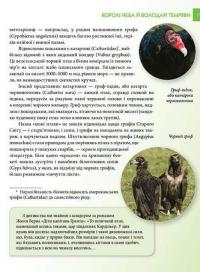 Книга Енциклопедія для допитливих. Хижаки — Андрей Гапченко #6