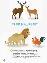 Книга Енциклопедія статевого життя. 4-6 років — Изабель Фужер #10
