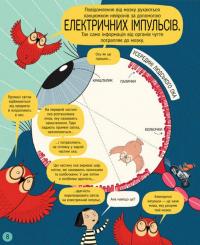 Книга Книжка про мозок і те, як він працює — Бетина Ип #8