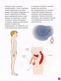 Книга Енциклопедія статевого життя. 7-9 років — Жан Коэн, Кристиан Верду, Жаклин Кан-Натан #14
