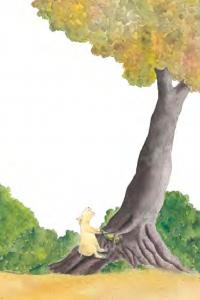Книга Дракончик Кокос і великий чарівник — Инго Зигнер #6