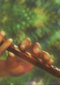 Книга The Forest Song. Adapted for Children — Леся Украинка #6