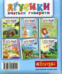 Книга У лісі біля річки — Валентина Рожнив #2