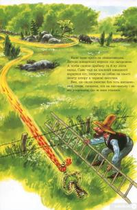 Книга Петсон, Фіндус і торт на іменини — Свен Нурдквист #4