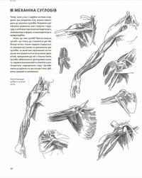 Книга Анатомія для художників. Наочний посібник із зображення людського тіла — Джахирул Амин #8