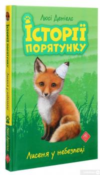 Книга Історії порятунку. Книги 1-4 + Спецвидання (комплект із 5 книг) — Люси Дэниелс #12