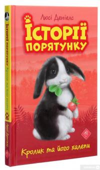 Книга Історії порятунку. Книги 1-4 + Спецвидання (комплект із 5 книг) — Люси Дэниелс #15