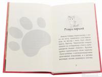 Книга Історії порятунку. Книги 1-4 + Спецвидання (комплект із 5 книг) — Люси Дэниелс #21