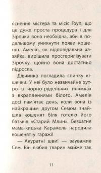 Книга Історії порятунку. Книги 1-4 + Спецвидання (комплект із 5 книг) — Люси Дэниелс #31