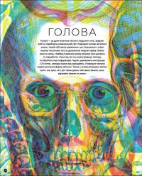 Книга Прихований світ людського тіла (+ чарівні лінзи) — Кейт Дэвис #10