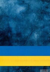 Книга Національна поліція України. Організаційно-правове забезпечення діяльності — Сергей Петков, Иван Иванов, Михаил Лошицкий, Александр Юнин, Виктор Бесчастный, Андрей Фоменко, Александр Коломоец, Алексей Дрозд, Роман Алиев, Юрий Делия, Александр Иляшко