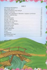 Книга Українські народні казки #6
