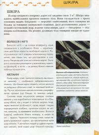 Книга Про тіло людини — Татьяна Жабская #7