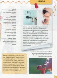 Книга Про тіло людини — Татьяна Жабская #9