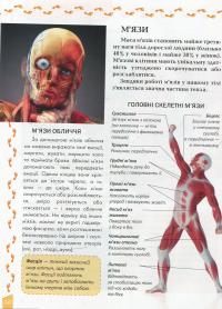 Книга Про тіло людини — Татьяна Жабская #10