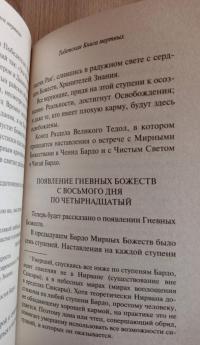 Тибетская Книга мертвых #7