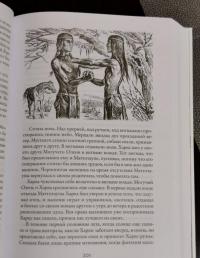 Изгнанники, или Топ и Харри — Лизелотта Вельскопф-Генрих #3