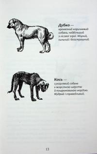 Зграя. Книга 6. Борвій собак — Ерін Гантер #12