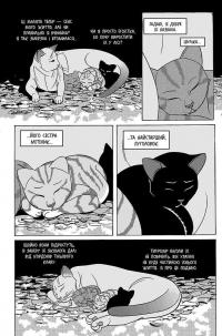 Коти-вояки. Манґа 7. Тигрозір і Саша. Повернення до Кланів — Ерін Гантер #4
