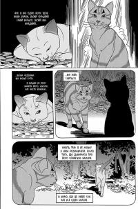 Коти-вояки. Манґа 7. Тигрозір і Саша. Повернення до Кланів — Ерін Гантер #5